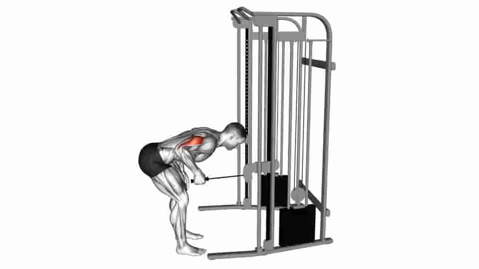 Thumbnail for the video of exercise: Cable Neutral Grip Kickback