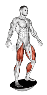 Thumbnail for the video of exercise: Balance Board