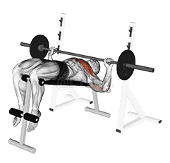 Thumbnail for the video of exercise: Decline Wide-grip Press