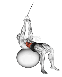 Thumbnail for the video of exercise: Cable Russian Twists 