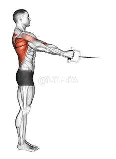 Thumbnail for the video of exercise: Cable Standing Row 