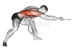 Thumbnail for the video of exercise: Cable Twisting Pull