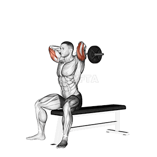 Thumbnail for the video of exercise: Seated Triceps Extension