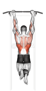Thumbnail for the video of exercise: Mixed Grip Chin-up