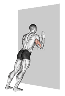 Thumbnail for the video of exercise: Push-up 