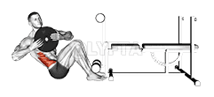 Thumbnail for the video of exercise: Weighted Russian Twist