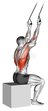 Thumbnail for the video of exercise: Band underhand pulldown