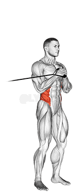 Thumbnail for the video of exercise: Band vertical Pallof Press