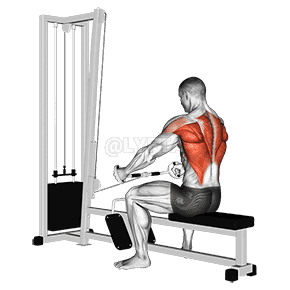 Thumbnail for the video of exercise: Seated Row