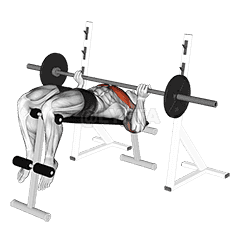 Thumbnail for the video of exercise: Reverse Grip Decline Bench Press
