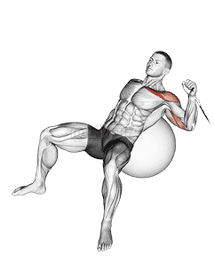 Thumbnail for the video of exercise: Cable One Arm Incline Press on Exercise Ball
