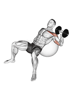 Thumbnail for the video of exercise: Dumbbell Incline One Arm Press on Exercise Ball