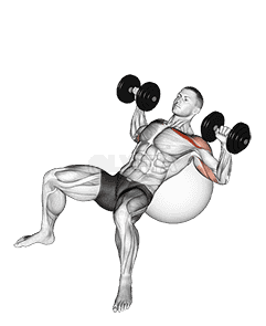 Thumbnail for the video of exercise: Dumbbell Incline Press on Exercise Ball
