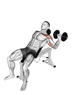 Thumbnail for the video of exercise: Dumbbell One Arm Incline Chest Press
