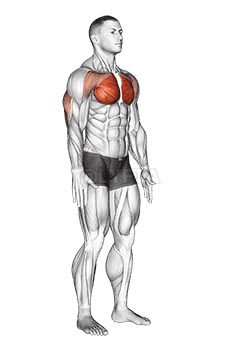 Thumbnail for the video of exercise: Isometric Chest Squeeze