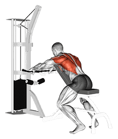 Thumbnail for the video of exercise: Cable Incline Bench Row