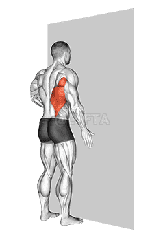 Thumbnail for the video of exercise: One Arm Against Wall