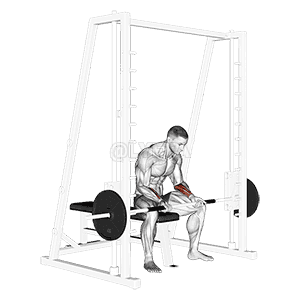 Thumbnail for the video of exercise: Smith Seated Wrist Curl
