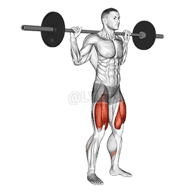 Thumbnail for the video of exercise: High Bar Squat