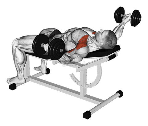 Thumbnail for the video of exercise: Dumbbell Incline 30 degrees Flye Hold Isometric
