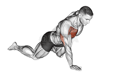 Thumbnail for the video of exercise: Single Arm Push-up 