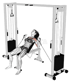 Thumbnail for the video of exercise: Cable Incline Bench Press 