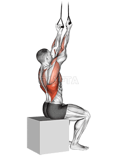 Thumbnail for the video of exercise: Band Fixed Back Underhand Pulldown