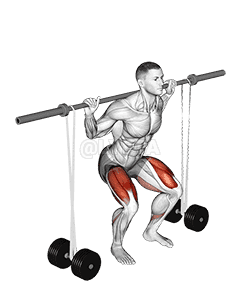 Thumbnail for the video of exercise: Barbell Banded Squat