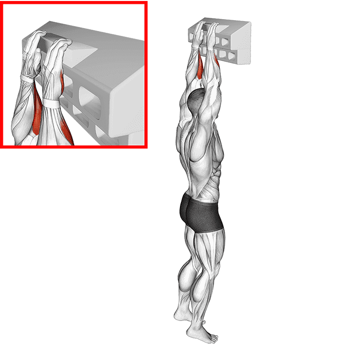 Thumbnail for the video of exercise: Handboard Open Hand Grip