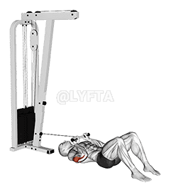 Thumbnail for the video of exercise: Cable Triceps Pushdown on Floor