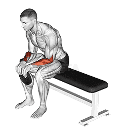 Thumbnail for the video of exercise: Weighted Seated Reverse Wrist Curl