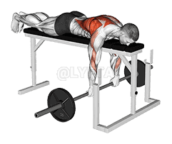 Thumbnail for the video of exercise: Barbell Lying Close-Grip Overhand Row on Rack