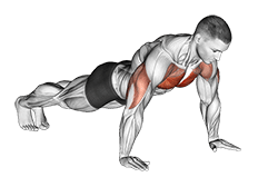 Push-up