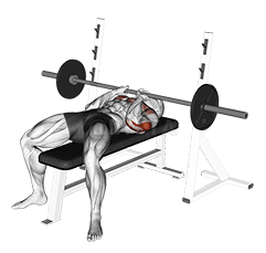 Close-Grip Bench Press