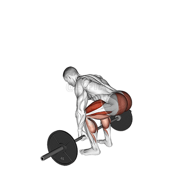 Deadlift