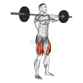 Front Squat