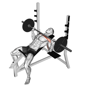 Incline Bench Press