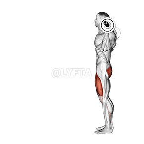 Lunge