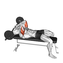 Barbell Lying Triceps Extension Skull Crusher