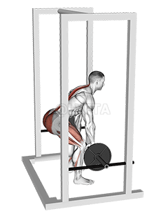 Barbell Rack Pull