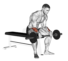 Revers Wrist Curl