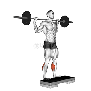 Standing Leg Calf Raise