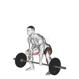 Sumo Deadlift