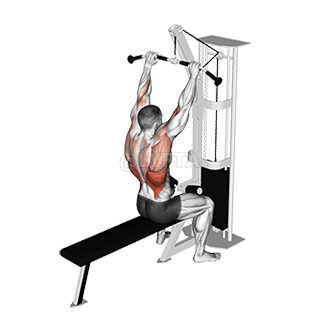 Bar Lateral Pulldown