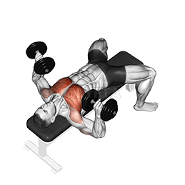 Dumbbell Bench Press