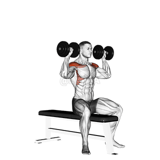 Bench Seated Press