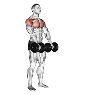 Front Raise