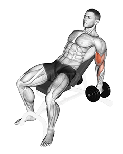 Dumbbell Incline Hammer Curl