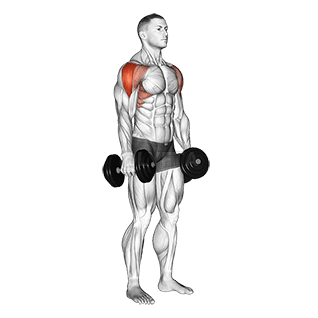 Lateral Raise