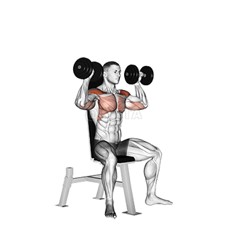 Seated Shoulder Press